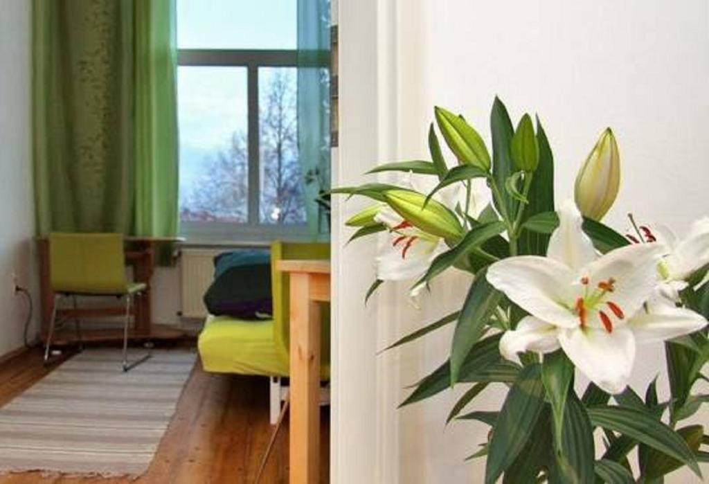 Private Gastezimmer Bei Ila Zimmerling Дрезден Стая снимка